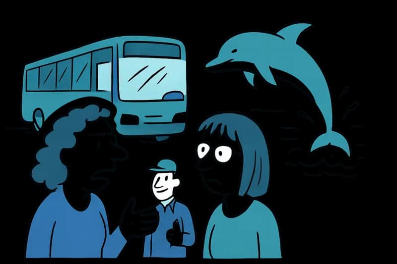 Schluss mit Delfinshows auf Mallorca? Die Stiftung Franz Weber verlangt ein Verbot