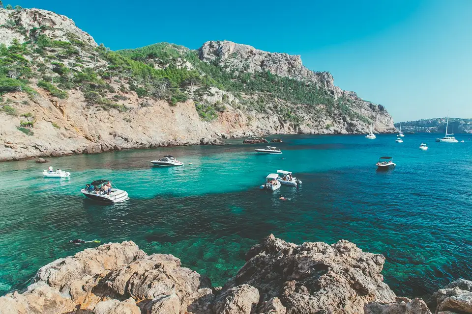 Seltene Grüne Meeresschildkröte vor Magaluf gesichtet